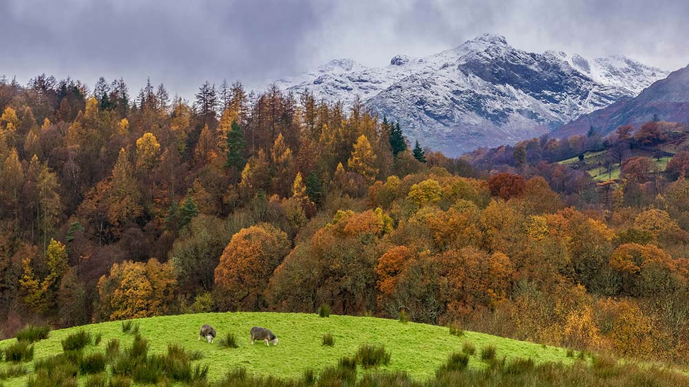 David Jenner, Four Seasons – Elterwater, Lake District National Park, UK