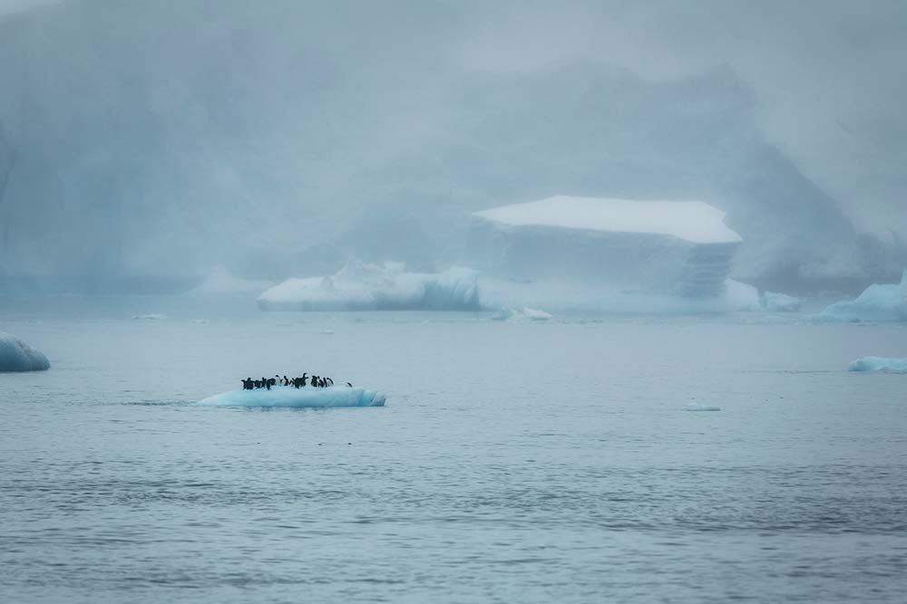 Christian Aslund, Frozen Landscape – Hope Bay, Trinity Peninsula, Antarctica